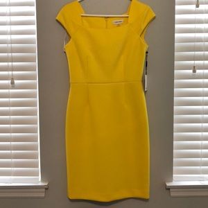 Calvin Klein dress